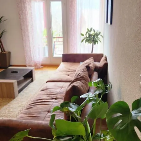 Cocooning House Homestay szállás Cugy